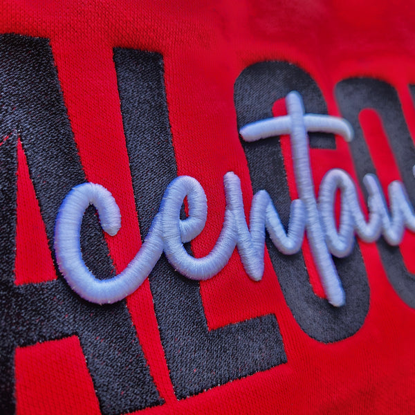 Crewneck School Spirit 3D Embroidered